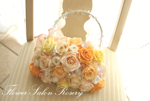 �v���U�[�u�h�t�����[�̃o�b�N�u�[�P