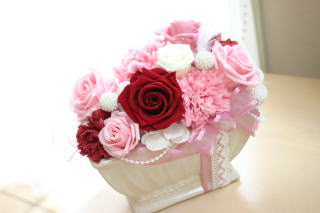 �v���U�[�u�h�t�����[�̃A�����W���s���N�n�ŁE�E