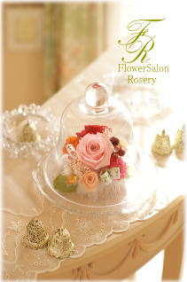 �v���U�[�u�h�t�����[�̃A�����W