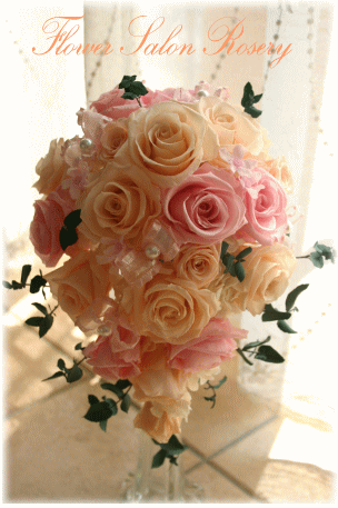 �v���U�[�u�h�t�����[�̃u�[�P