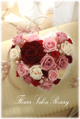 �v���U�[�u�h�t�����[�̃o�b�N�u�[�P