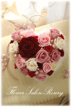 �v���U�[�u�h�t�����[�̃o�b�N�u�[�P