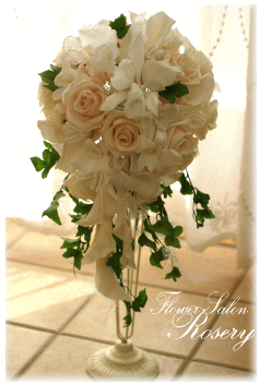 �v���U�[�u�h�t�����[�̃L���X�P�[�h�u�[�P