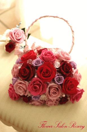 �v���U�[�u�h�t�����[�̃o�b�N�u�[�P