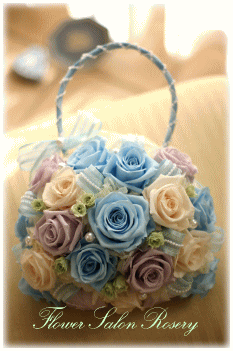 �v���U�[�u�h�t�����[�̃o�b�N�u�[�P