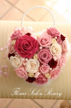 �v���U�[�u�h�t�����[�̃o�b�N�u�[�P