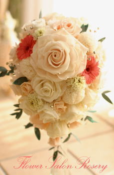 �v���U�[�u�h�t�����[�̃u�[�P