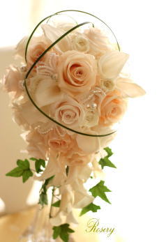 �v���U�[�u�h�t�����[�̃u�[�P