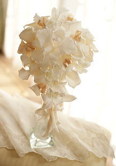 �v���U�[�u�h�t�����[�̃u�[�P