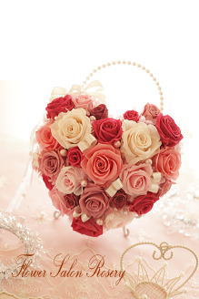 �v���U�[�u�h�t�����[�̃o�b�N�u�[�P