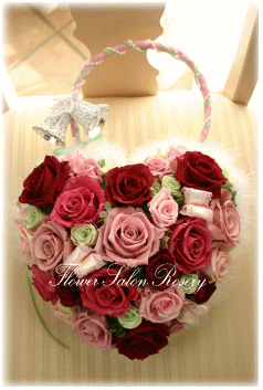 �v���U�[�u�h�t�����[�̃o�b�N�u�[�P