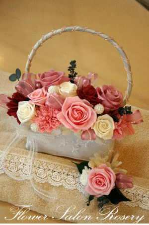 �v���U�[�u�h�t�����[�̃o�b�N�u�[�P