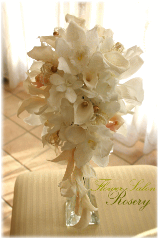 �v���U�[�u�h�t�����[�̃u�[�P