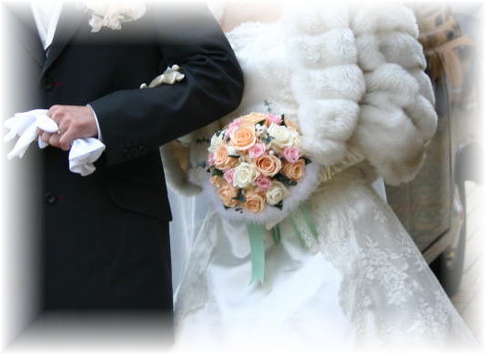 �v���U�[�u�h�t�����[�̃u�[�P