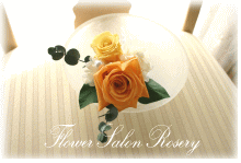 �v���U�[�u�h�t�����[�̃u�[�g�j�A