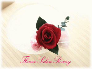 �v���U�[�u�h�t�����[�̃u�[�g�j�A