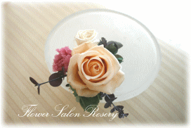 �v���U�[�u�h�t�����[�̃u�[�g�j�A