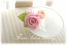 �v���U�[�u�h�t�����[�̃u�[�g�j�A