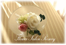 �v���U�[�u�h�t�����[�̃u�[�g�j�A