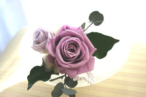 �v���U�[�u�h�t�����[�̃u�[�g�j�A