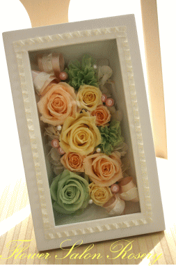 �v���U�[�u�h�t�����[�̃A�����W�B�c�^