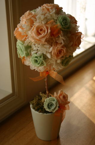 �g�s���A���[