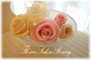 �v���U�[�u�h�t�����[�̔�����