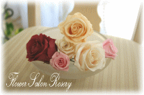 �v���U�[�u�h�t�����[�̔�����