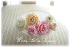 �v���U�[�u�h�t�����[�̔�����