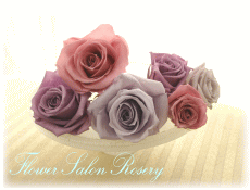 �v���U�[�u�h�t�����[�̔�����