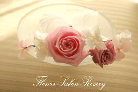 �v���U�[�u�h�t�����[�̔�����