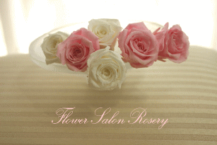 �v���U�[�u�h�t�����[�̔�����