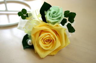 �v���U�[�u�h�t�����[�̃R�T�[�W��