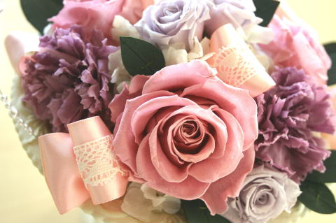 �v���U�[�u�h�t�����[�A�����W�̃A�b�v