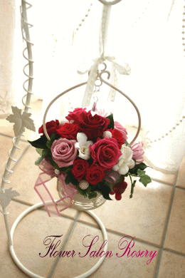 �v���U�[�u�h�t�����[�̃A�����W��i�V�t�H��