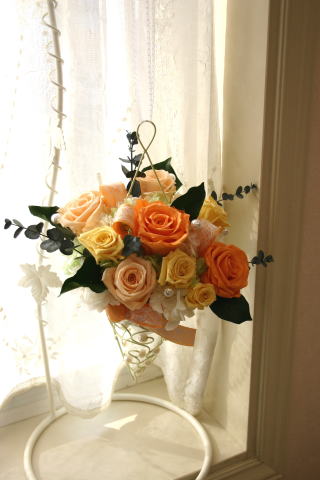 �v���U�[�u�h�t�����[�̐��k��i