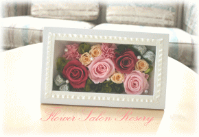 �v���U�[�u�h�t�����[�̑����